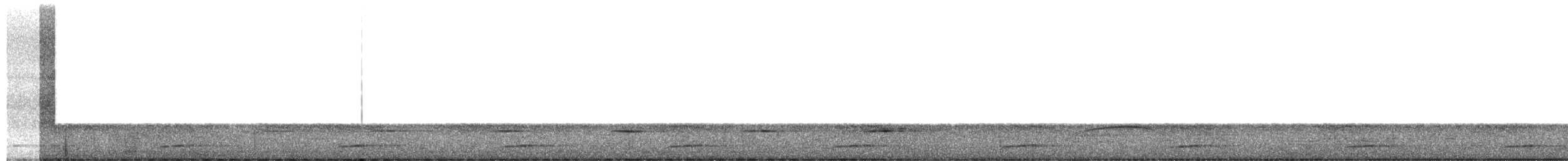 Küçük Motmot - ML657475678