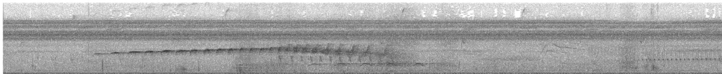 Band-tailed Antbird - ML657486865