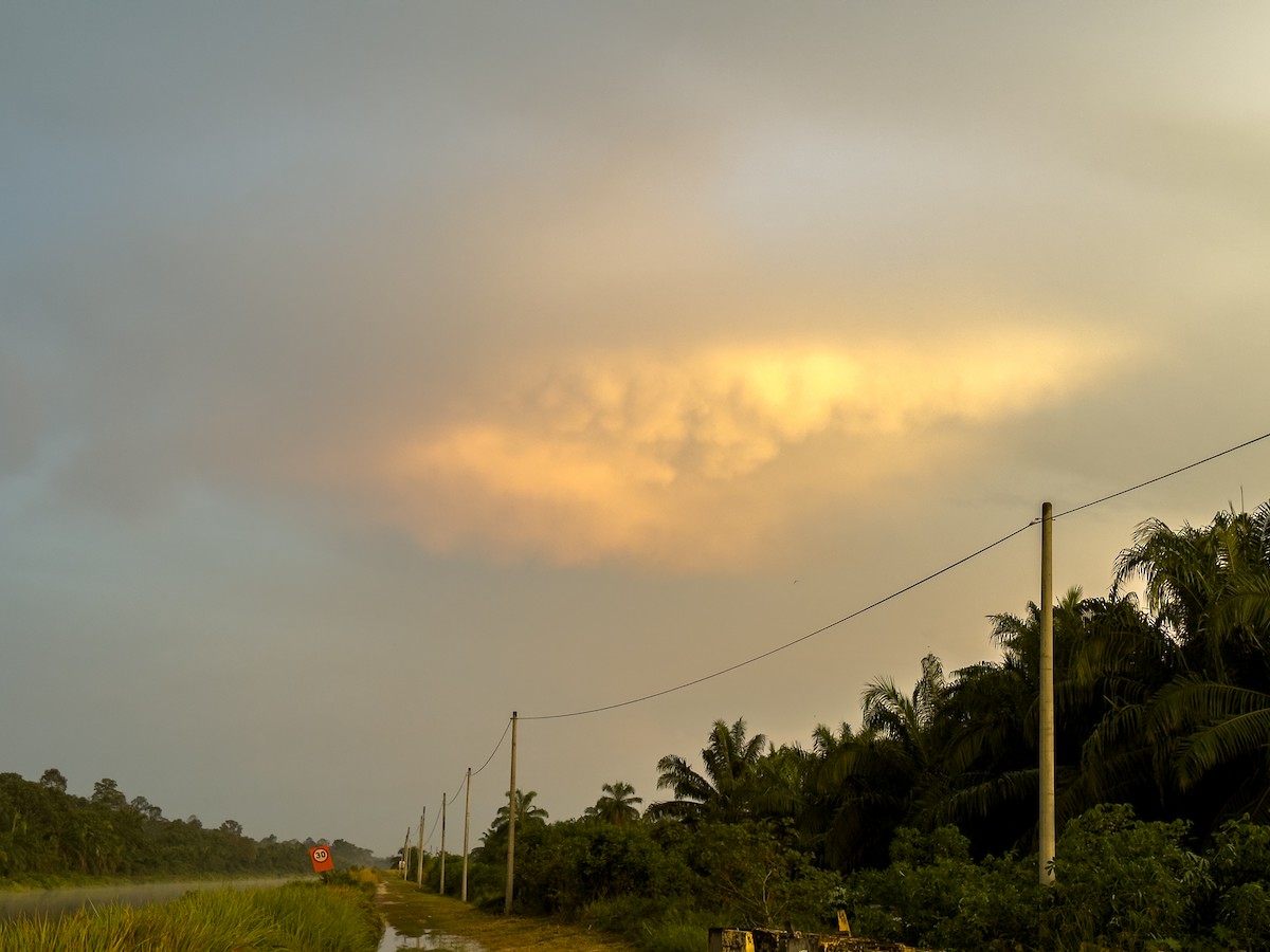null - ML657489035