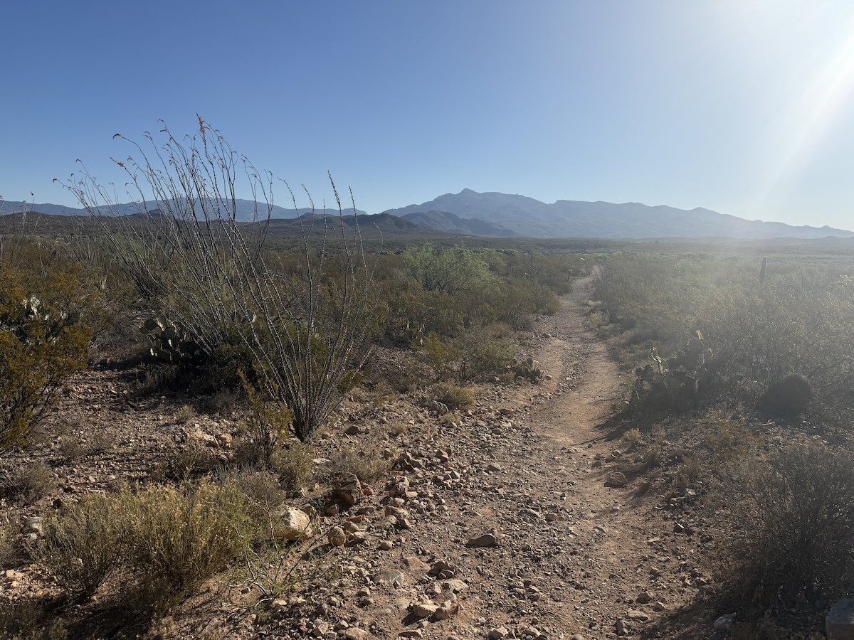 null - ML657502567