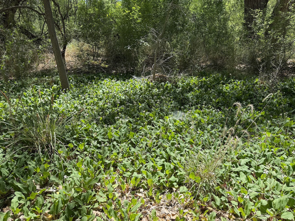 null - ML657502568