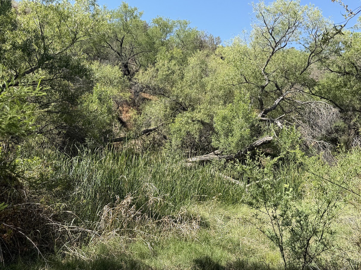 null - ML657502569