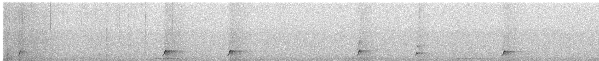 Short-tailed Antthrush - ML657503987