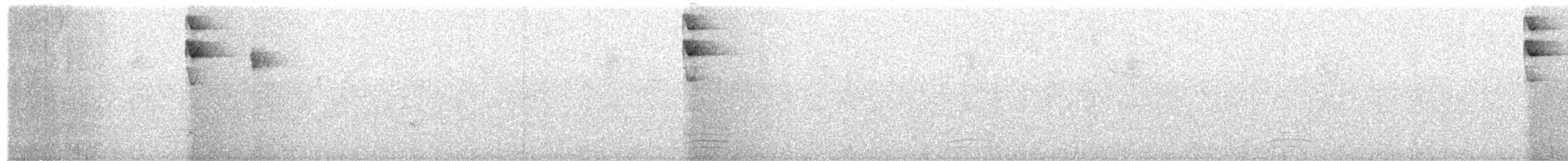 Thick-billed Saltator - ML657504030
