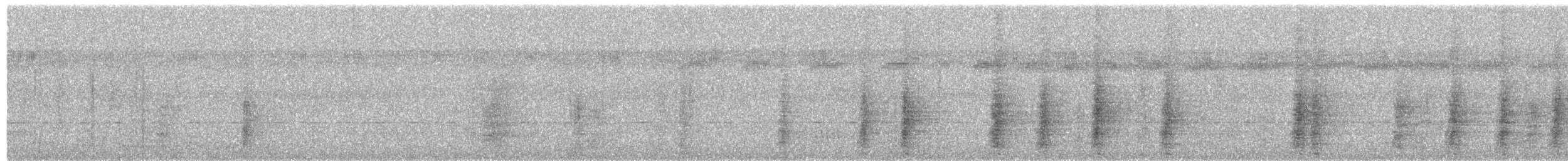 Grauflügel-Trompetervogel - ML657505257