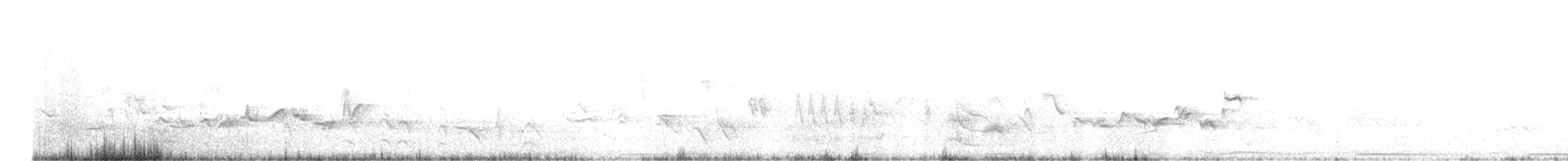 Eastern Warbling Vireo - ML657506642