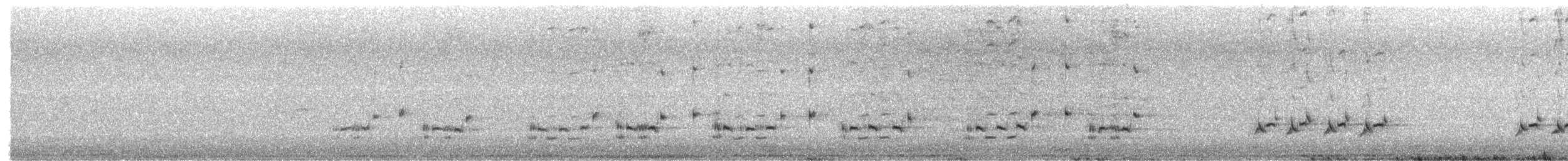 Northern Mockingbird - ML657507355