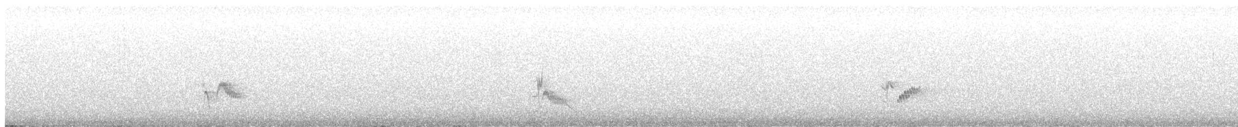 Plumbeous Vireo - ML657512064
