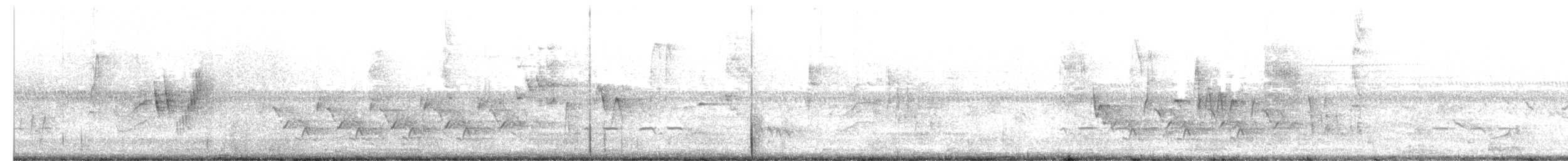 チャバラマユミソサザイ - ML657518587