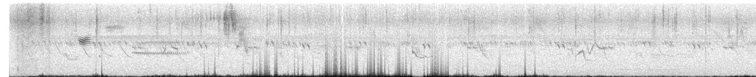 Grassland Sparrow - ML657526816