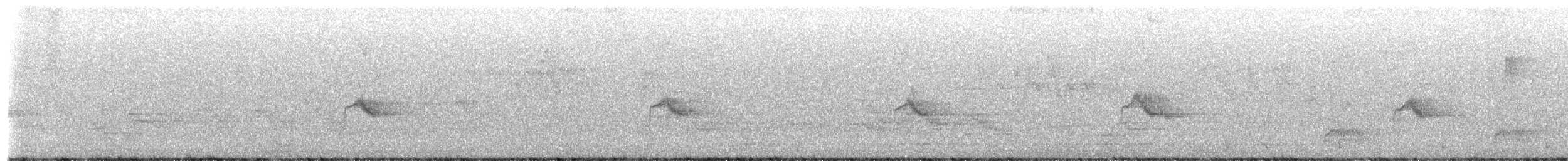 Gray-cheeked Thrush - ML657526921