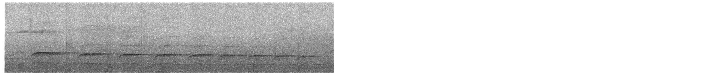 datel žlutozobý - ML657527638