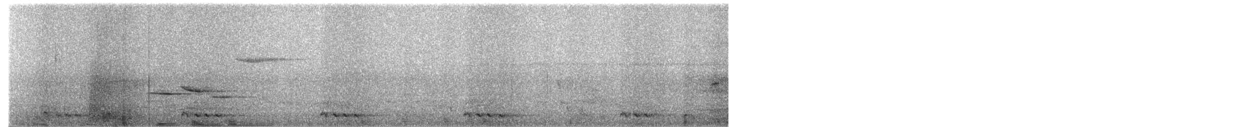 barbet modrolící - ML657527860