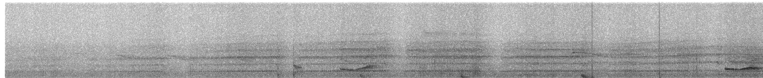 barbet velký - ML657529270