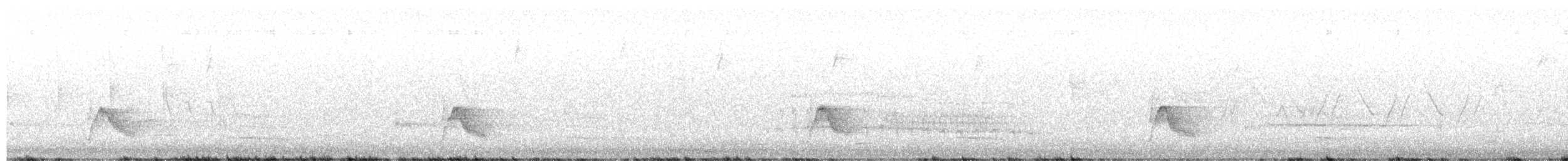 Gray-cheeked Thrush - ML657540634