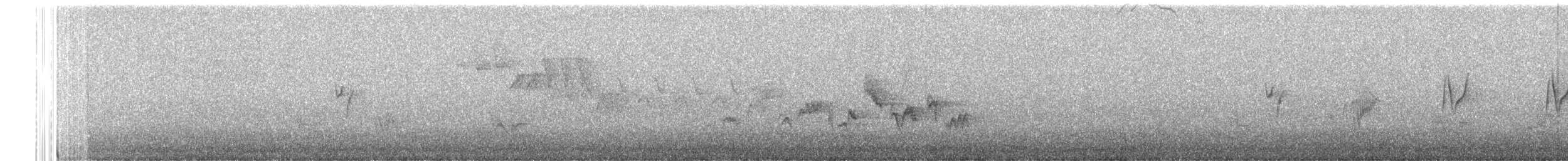 Dusky Flycatcher - ML657546917