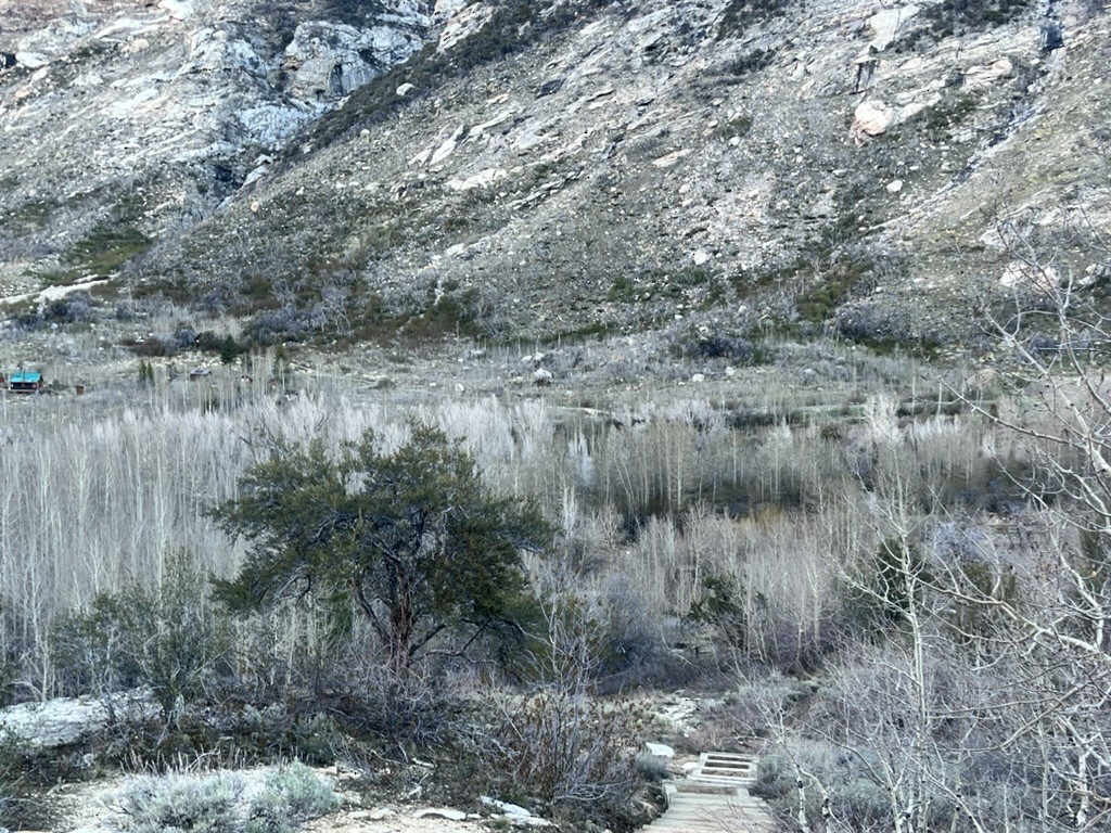 null - ML657547567