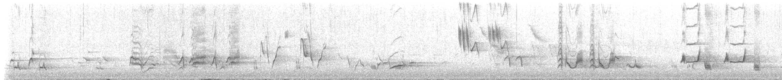 Kuitlakotxe gorrizta - ML657549799