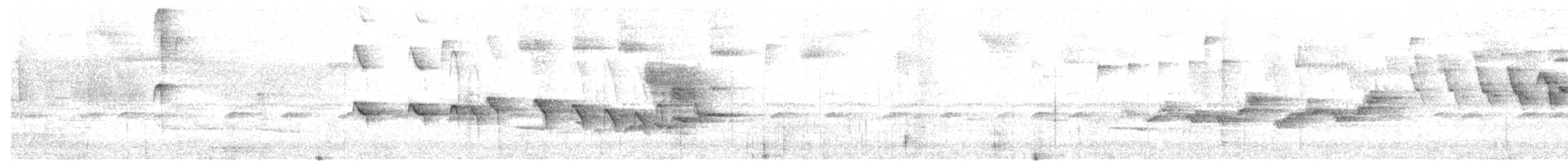 stripehodemaurfugl - ML657550896