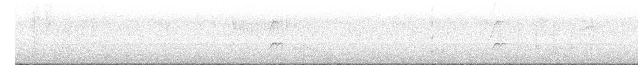 bladflatnebb (pallescens) - ML657551034