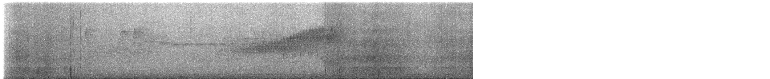 stryparula - ML657551086