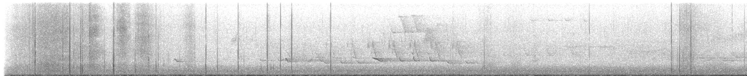hetteparula - ML657551463