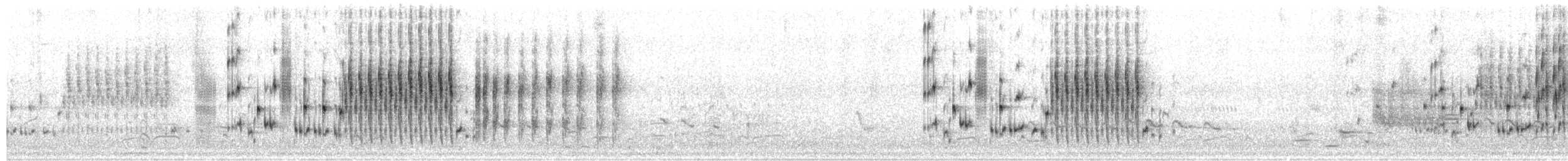 Marsh Wren (palustris Group) - ML657556939
