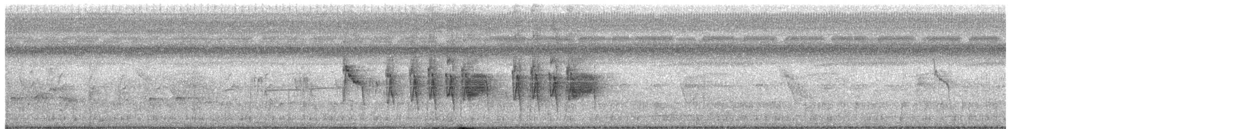 Social Flycatcher - ML657561210