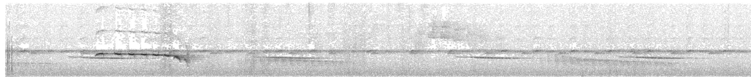 Chestnut-tailed Antbird - ML65756511