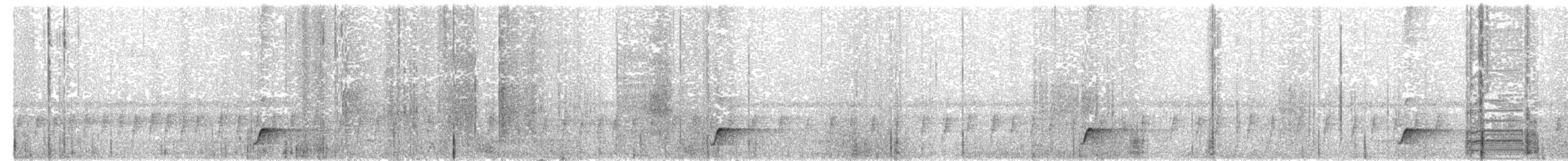 Kısa Kuyruklu Karıncaardıcı - ML65756611