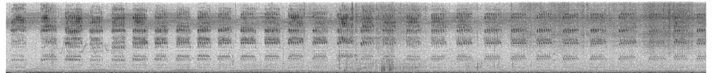 Pic à face blanche - ML657571801
