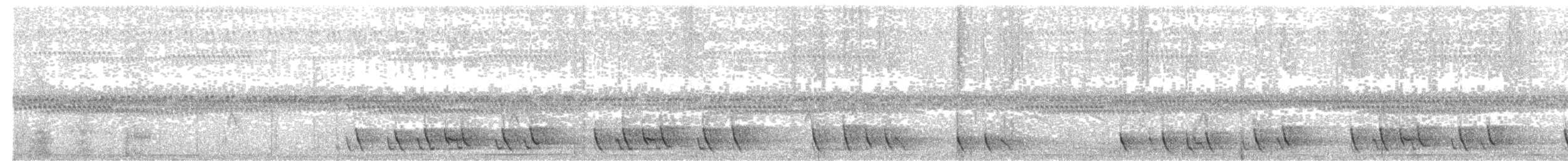 Troglodyte grivelé - ML65757441