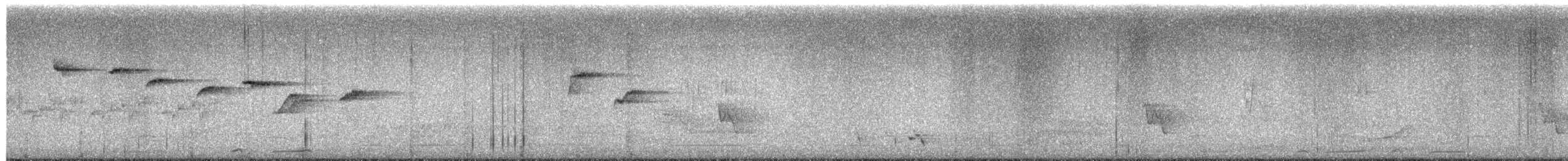 Arafura Fantail - ML657587026