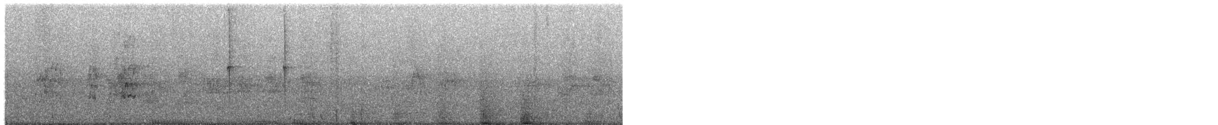 Golden-tailed Sapphire - ML657589648