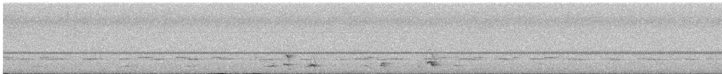 ヒゲコノハズク - ML657589827