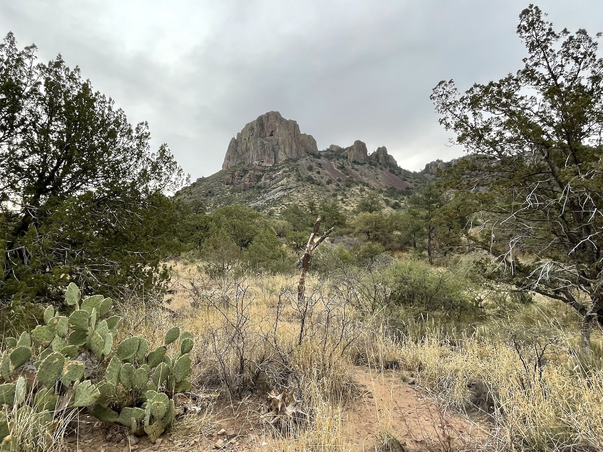 null - ML657590949
