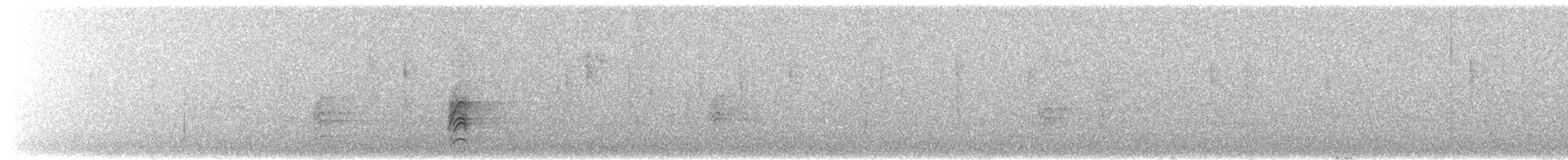 Austral Thrush - ML657592106