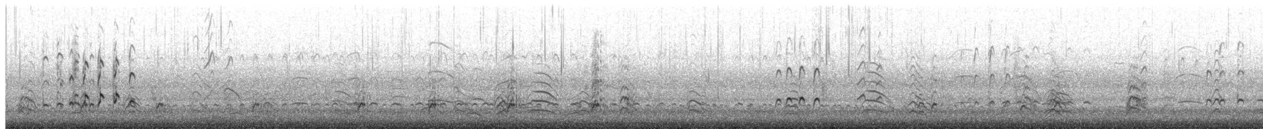 Hudsonian Whimbrel - ML657592234