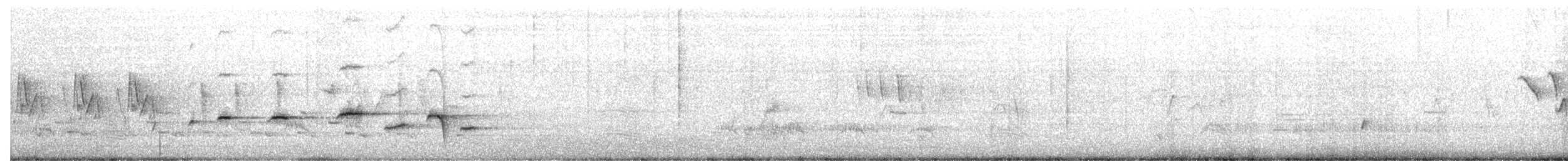 White-browed Fantail - ML657592768