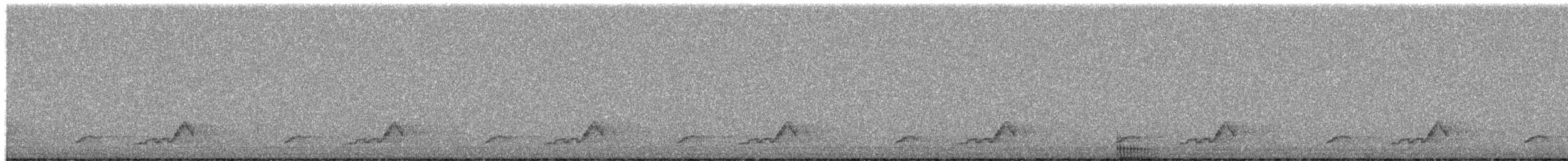 Schwarzkehl-Nachtschwalbe - ML657596057