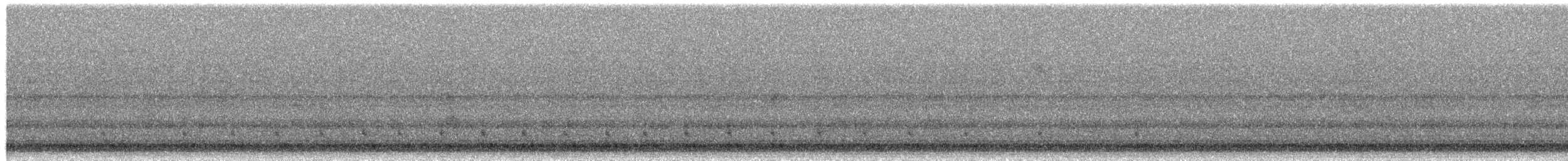 Gelbschnabelkuckuck - ML657596218