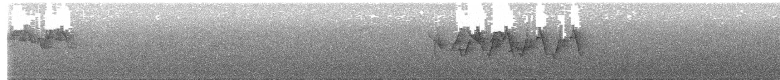 Hartertlaubsänger - ML657596590