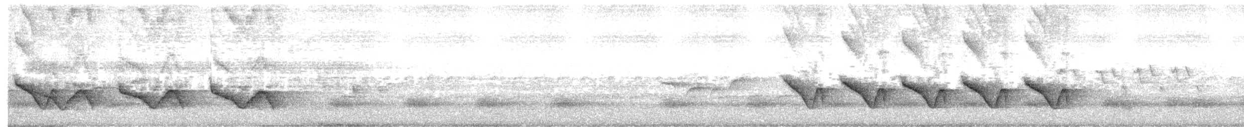 Le Gallen Kutyası - ML657600455
