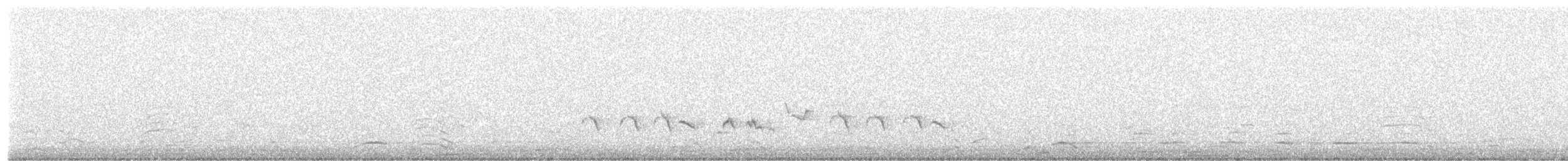 Baltimore Oriole - ML657611469