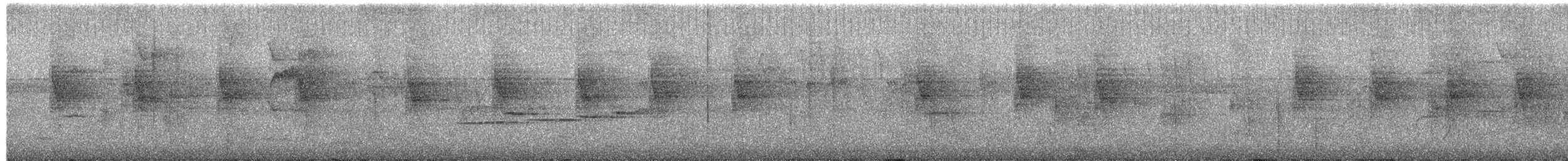 Zimmer's Antbird - ML657611759