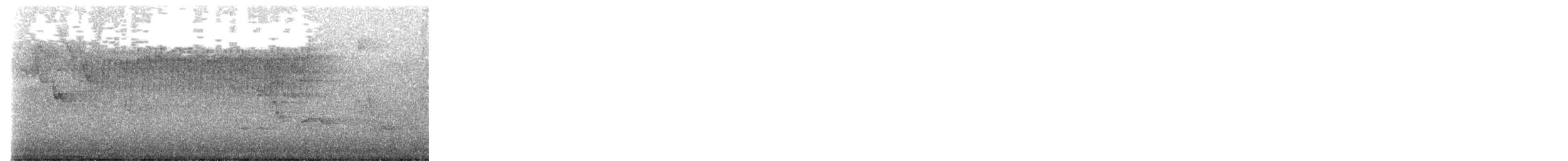 Worm-eating Warbler - ML657611790