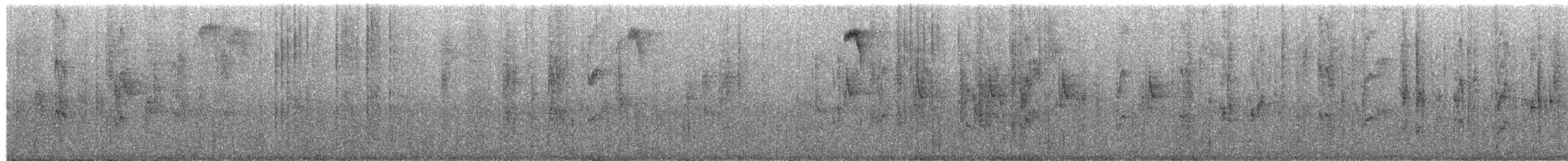 Brown Violetear - ML657611822