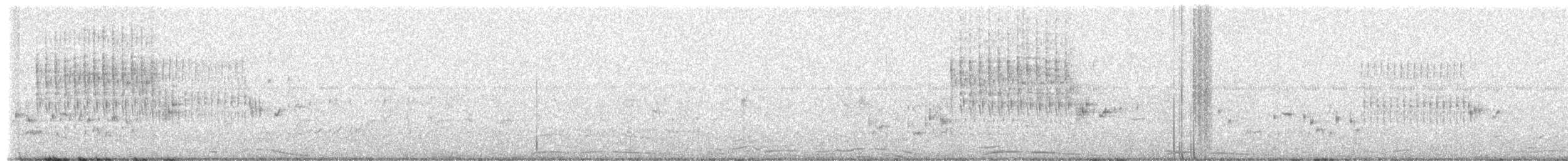 Marsh Wren - ML657619283