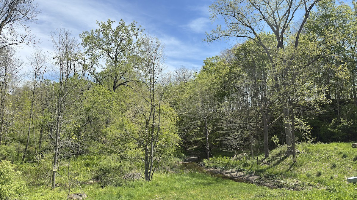 null - ML657620138
