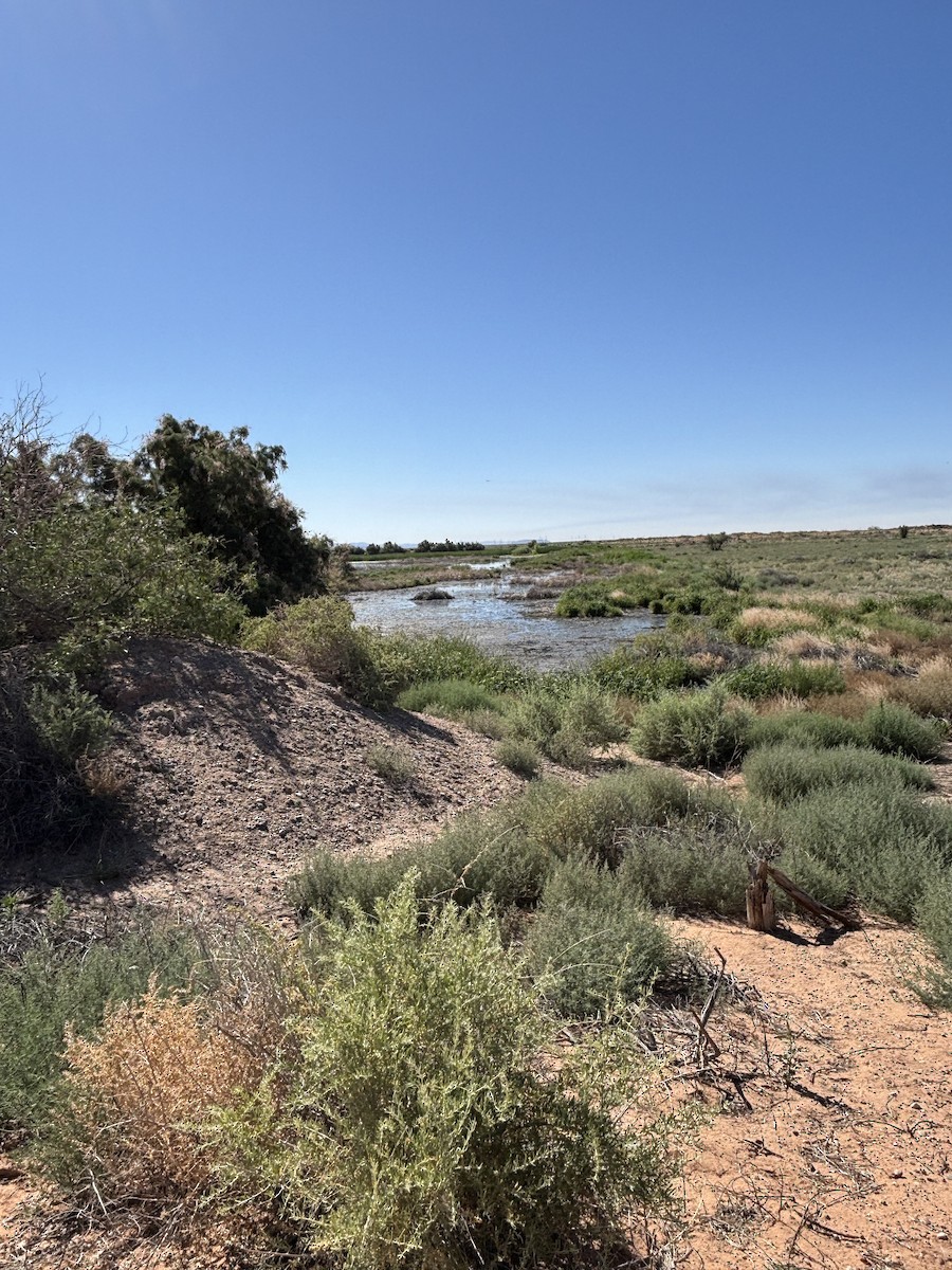 null - ML657640571